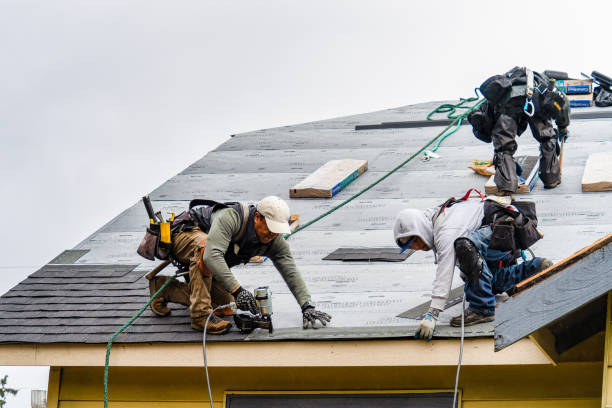 Professional Gutter Installation technician working in Erie, CO
